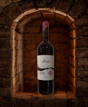 merlot-1.png