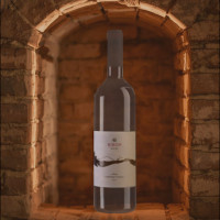 cabernet-franc2019
